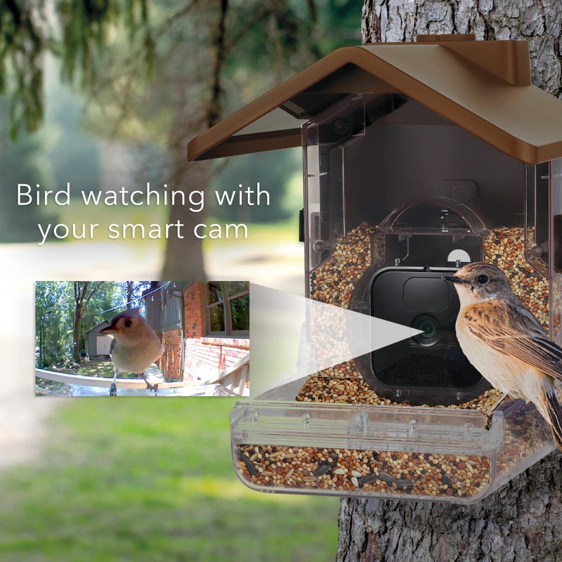 واسيرستين حافظة كاميرا Wasserstein Bird Feeder متوافقة مع كاميرات Blink Wyze & Ring الأمنية بما في ذلك Blink Outdoor 4 Wyze Cam OG وكاميرا Ring Stick Up (الكاميرا غير متضمنة) - Image 2